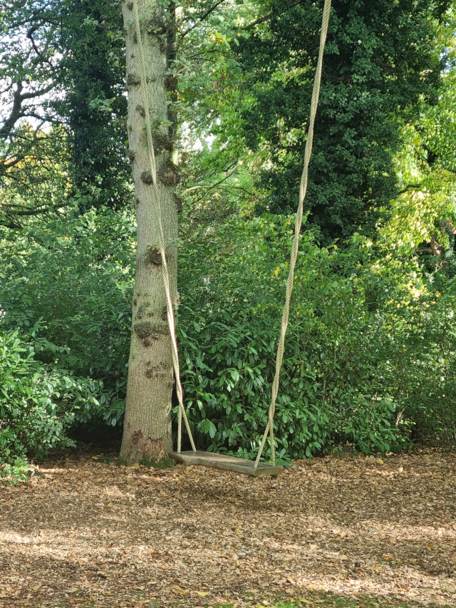 Swing