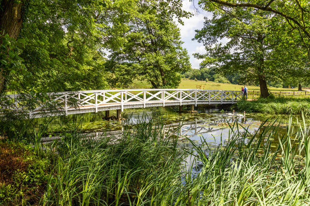 Wooden Bridge